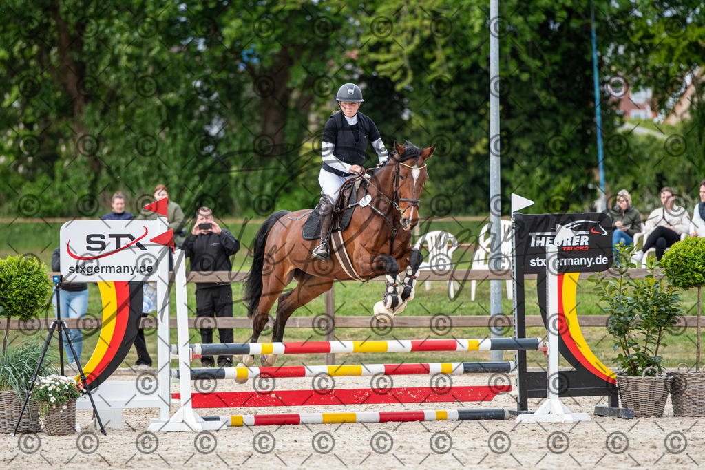 KPT_7003 | andre_photographic