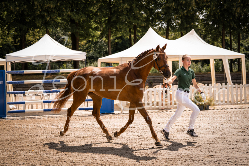 1.Fr00039 | Leoni Ertmer Photography - Realisiert mit Pictrs.com