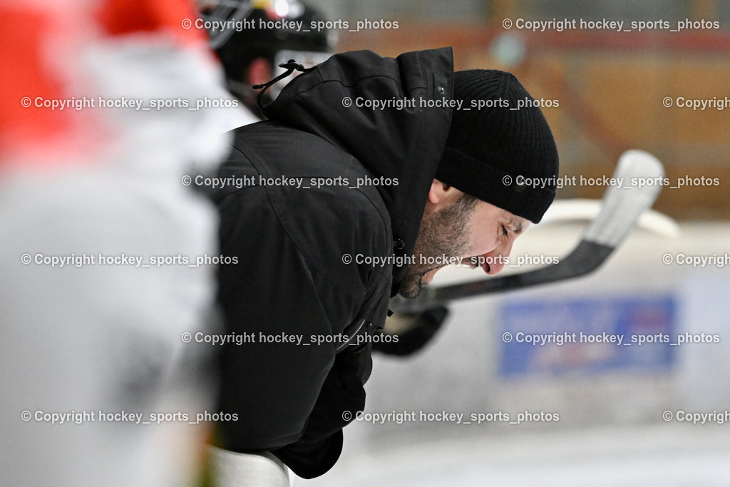 EC MET PHOTOVOLTAIK HORNETS SPITTAL vs. EV ZELTWEG MURTAL LIONS | Headcoach EV ZELTWEG MURTAL LIONS Tadic Marko, EC MET PHOTOVOLTAIK HORNETS SPITTAL vs. EV ZELTWEG MURTAL LIONS, EC MET PHOTOVOLTAIK HORNETS SPITTAL vs. EV ZELTWEG MURTAL LIONS am 08.02.2026 in Spittal an der Drau (Eissportzentrum Spittal), Austria, (Photo by Bernd Stefan)