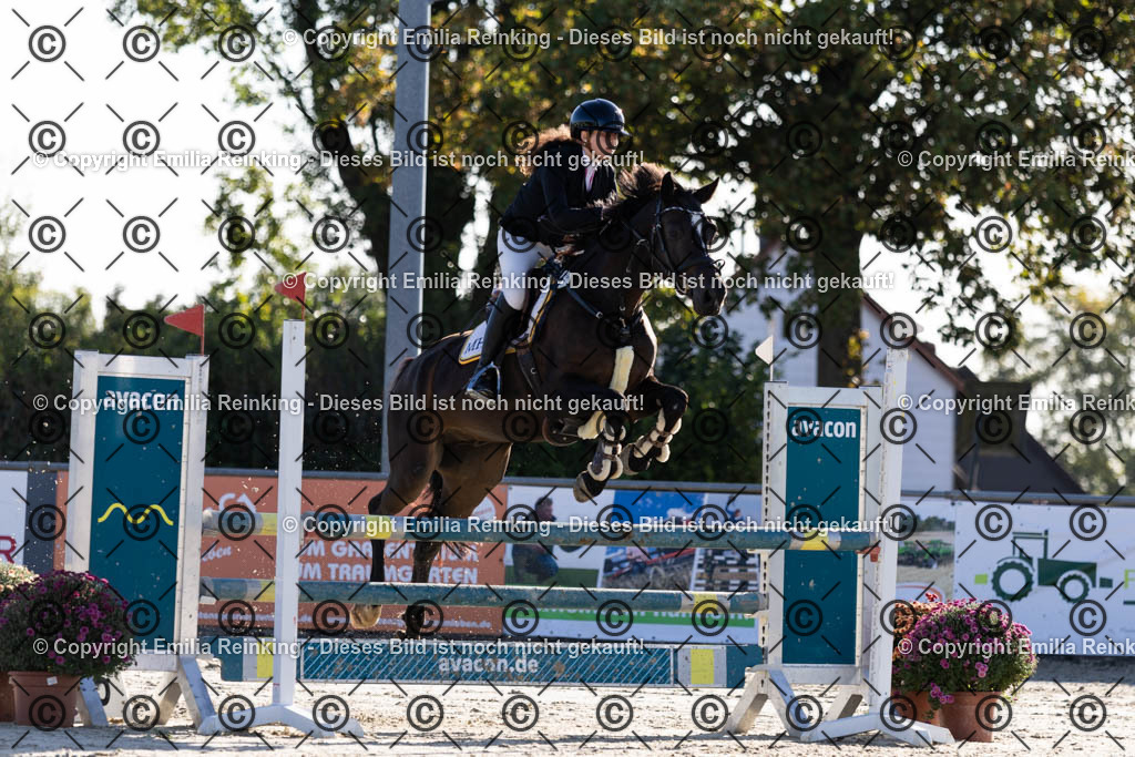 CL5A1117 | Emilia Reinking Fotografie - Realisiert mit Pictrs.com