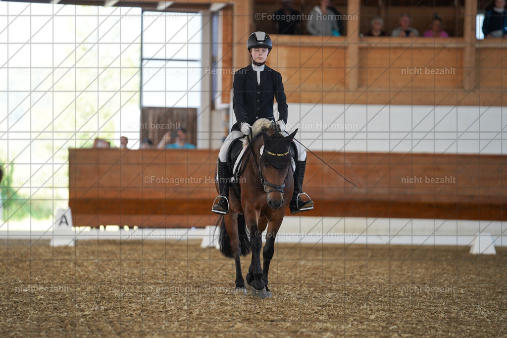 20240824-FAH07027 | Thierhaupten 2024, Bayerisches Landesponyturnier, Turnierbilder, Ponybilder, Turnierfotografen Bayern, Fotoagentur Herrmann