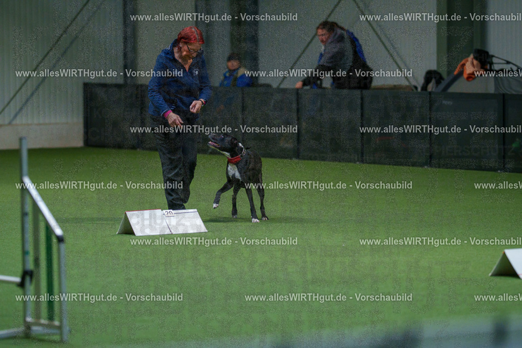 7R503263 | Professionelle Tierfotografie in Mönchengladbach von Daniel Wirth (allesWIRTHgut). Liebevolle & natürliche Bilder von Hunden & Katzen für unvergessliche Erinnerungen.