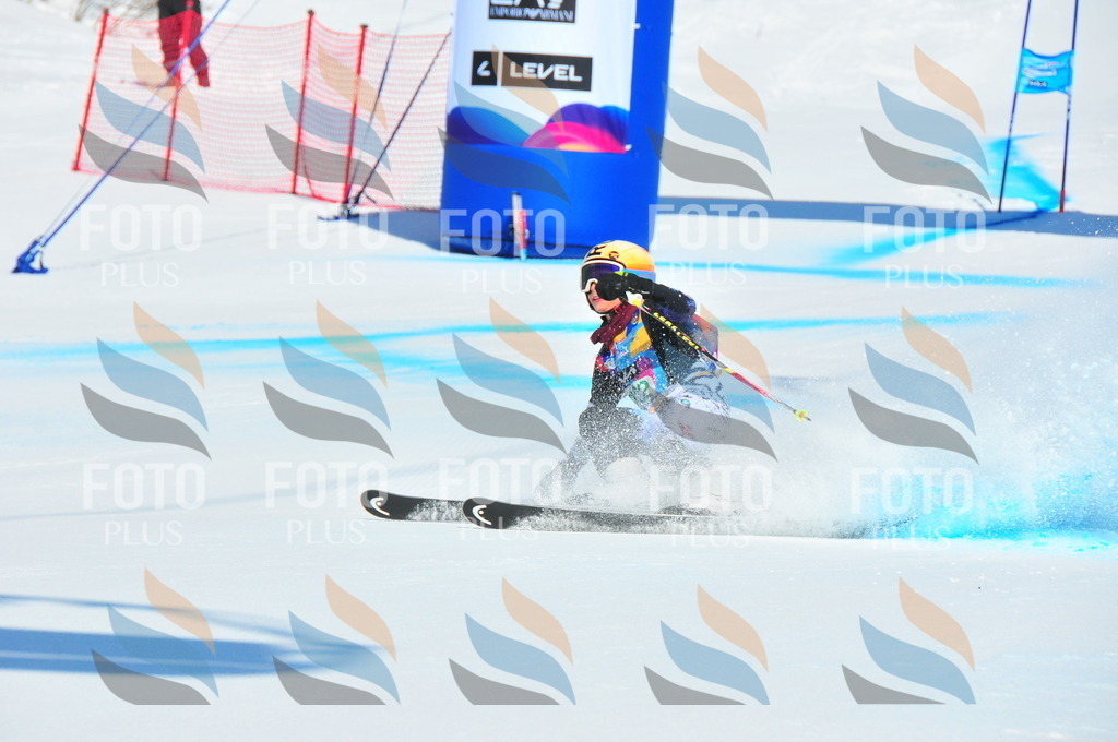 DSC_0971 | holidayphoto