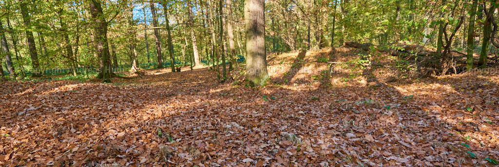 Die Hügelgräber im Lindigt bei Wermsdorf  02 | Bedeutsame Landschaften Deutschlands - Realisiert mit Pictrs.com