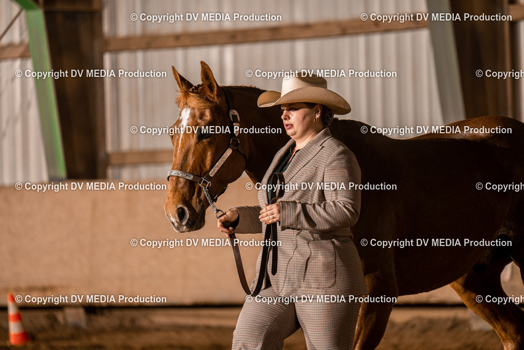 BAL01198 | dv-media-shop - Realisiert mit Pictrs.com