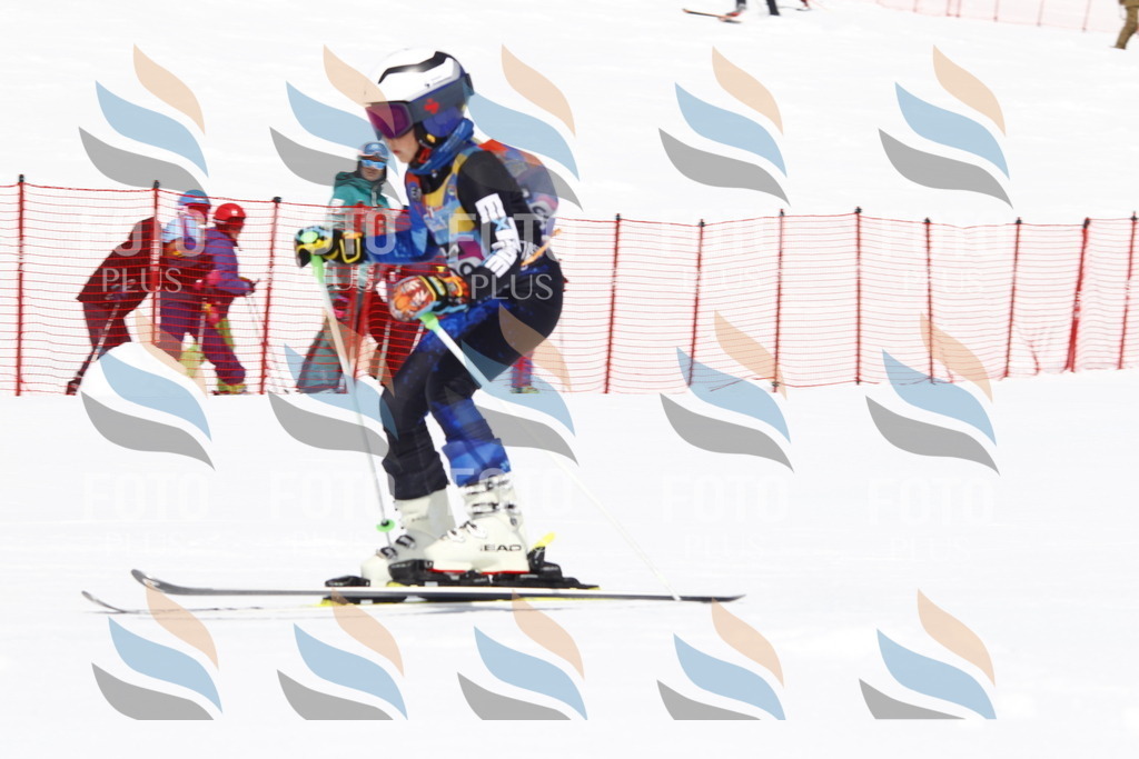 _U3G5404 | holidayphoto