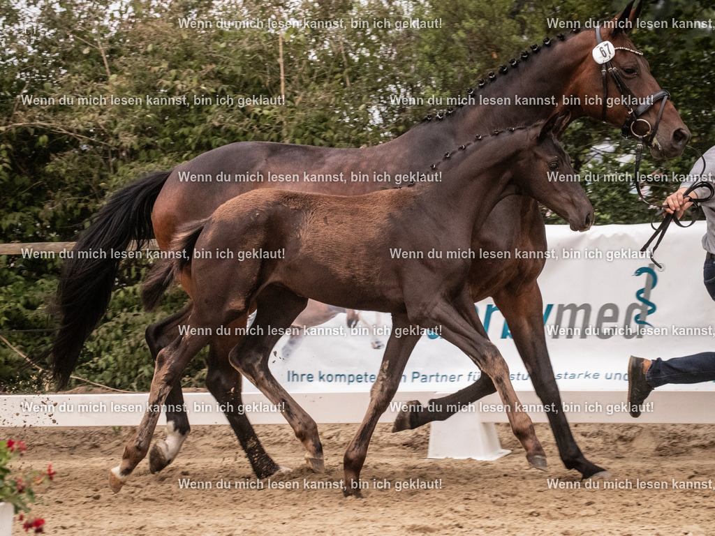 A10I6940 | photographylinaismer - Realisiert mit Pictrs.com