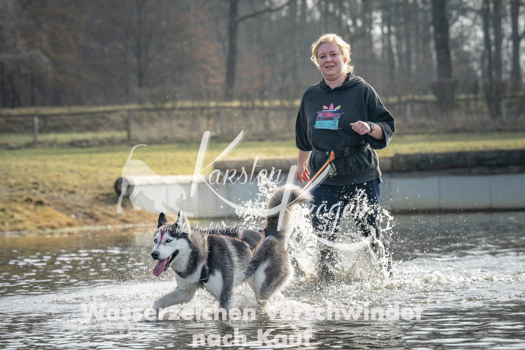 0956_ZZ94842 | kk-dogfotos