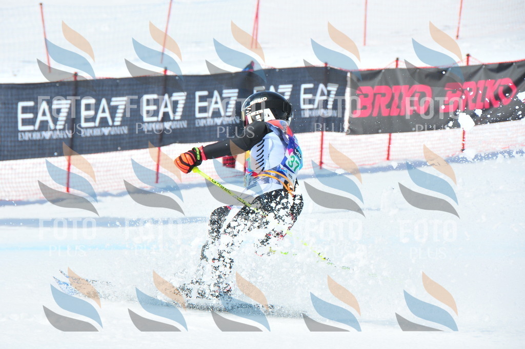 DSC_3331 | holidayphoto