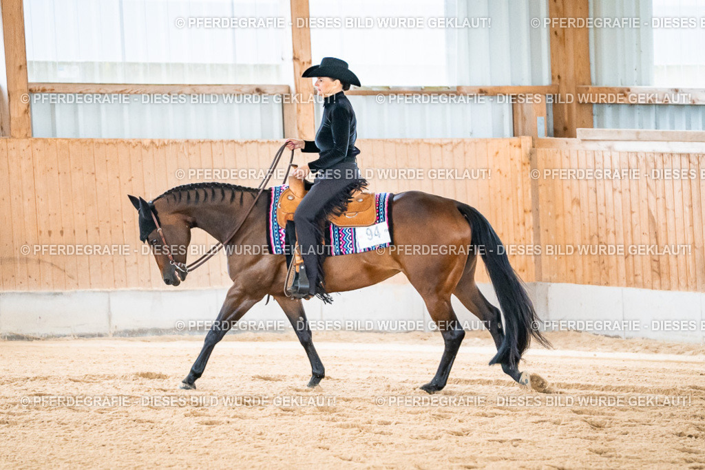 DSC01693 | Pferdegrafie