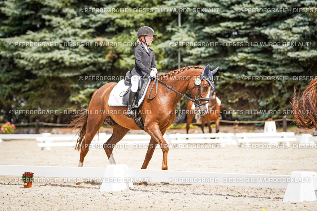 DSC03385 | Pferdegrafie