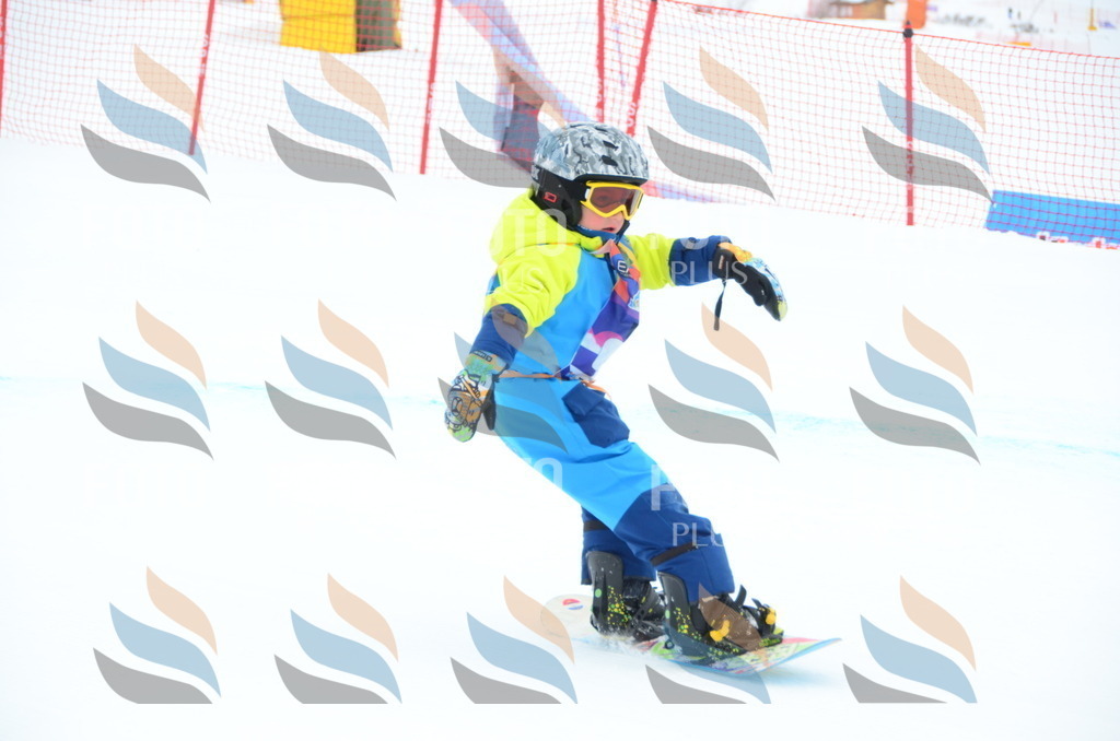 DSC_2498 | holidayphoto