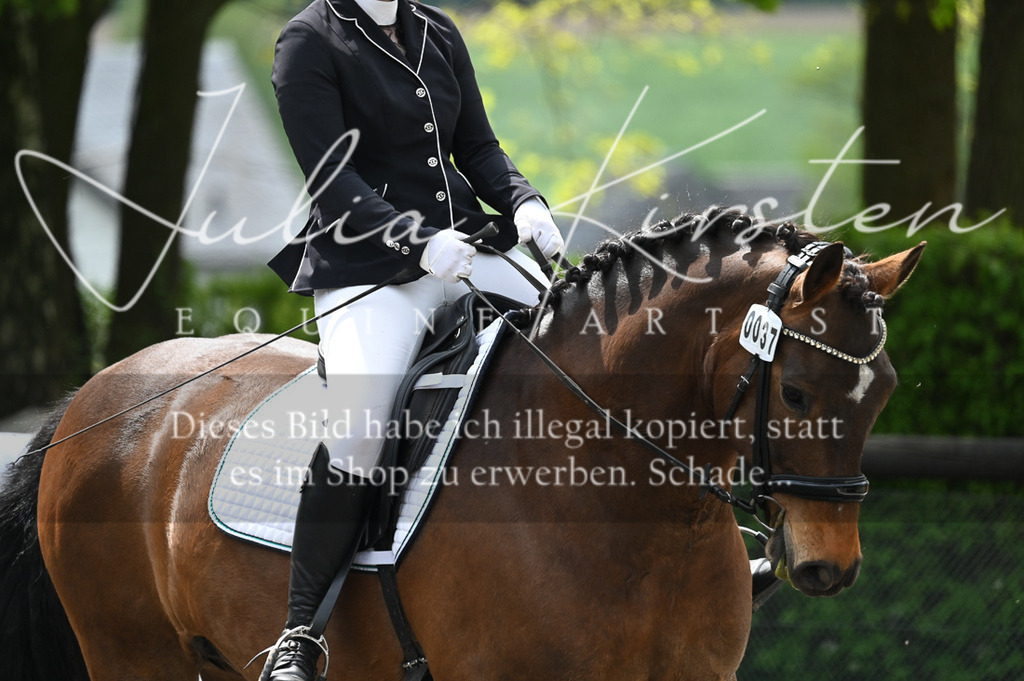 20230512_JK-Röhrsdorf-07-121 | Pferde- und Turnierfotografie in Westsachsen. Pferdeportraits, Auftragszeichnungen und intuitive Kunst.
