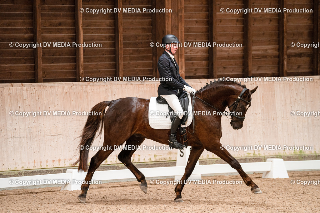 Dressur Tag 1 -44 | dv-media-shop - Realisiert mit Pictrs.com