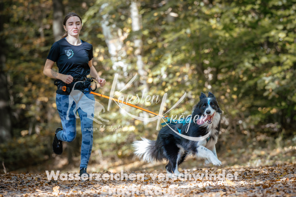 1246_ZZ96076 | kk-dogfotos