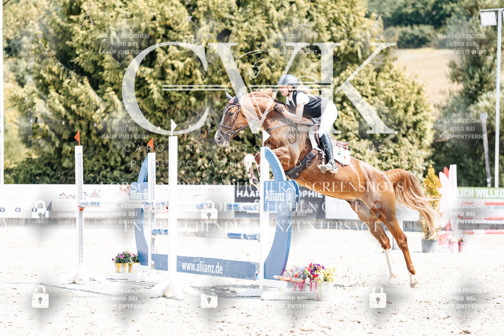 CK900979 | Turnierfotografie Pferdefotografie Trier Rheinland-Pfalz Pferdesport Reitsport Tierfotografie Sportfotografie Pferdevideo Pferdevideografie Equestrianvideography equestrianphotography  - Realisiert mit Pictrs.com