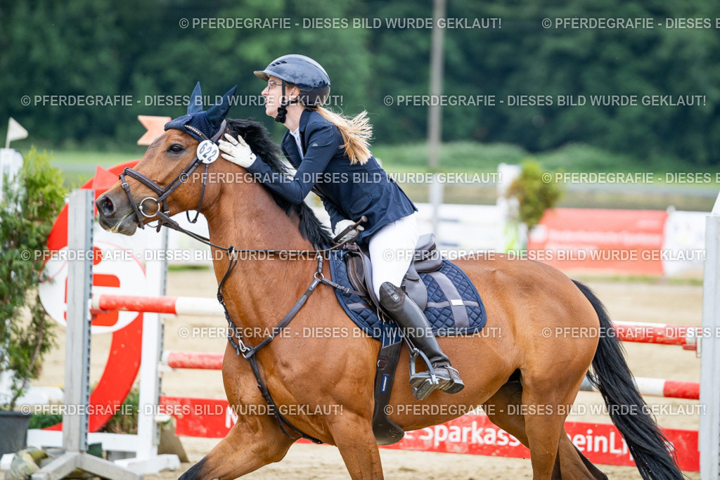 DSC03754 | Pferdegrafie