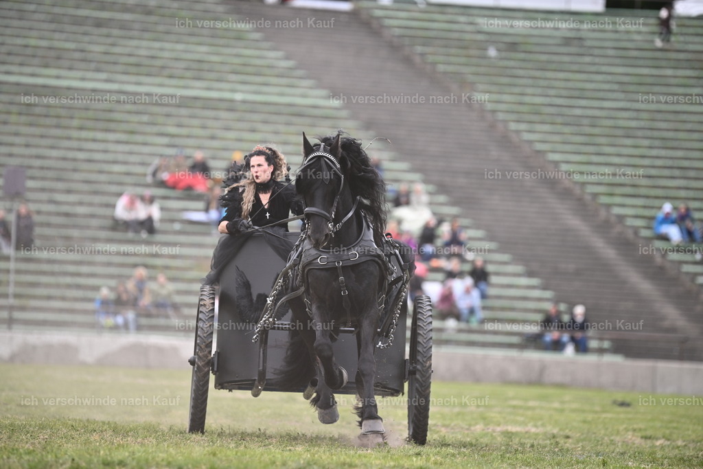 PI26_Show_Sara_Landvogt_226_1294.JPG | working equitationturnier fotograf videograf stoibphotography marixx film working equitation deutschland reitsport turnierfotografie eventfotografie equestrian events