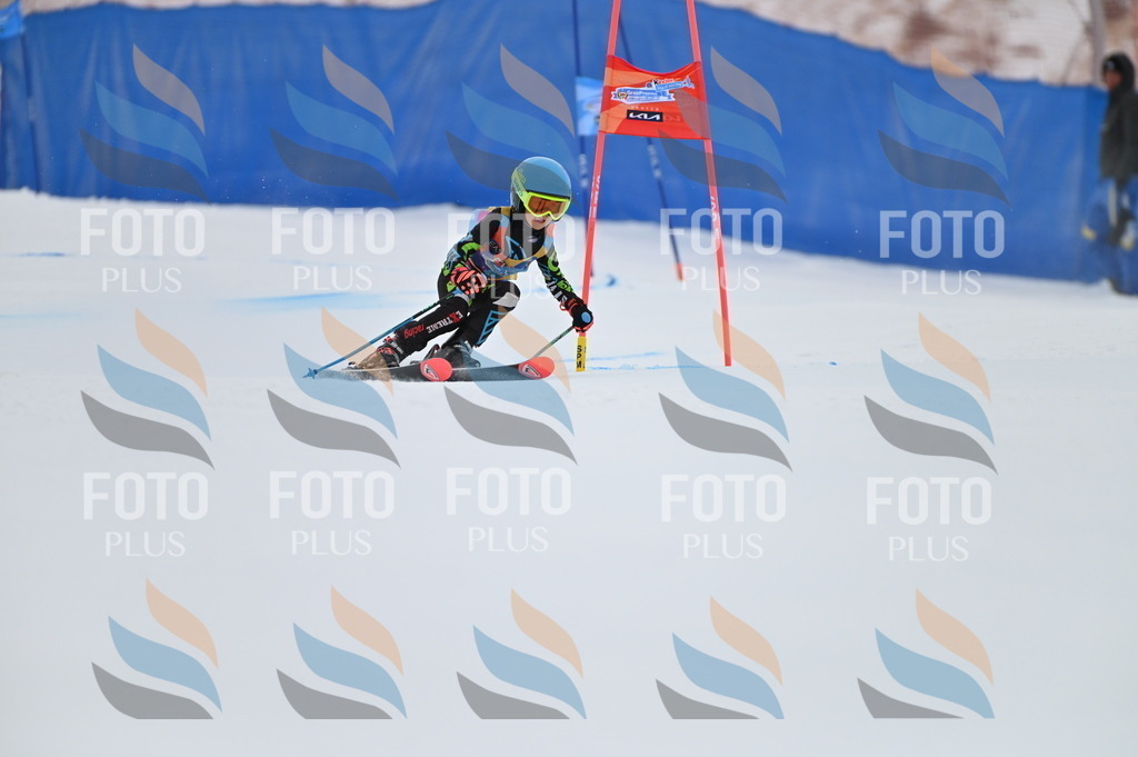 BGV_2102 | holidayphoto