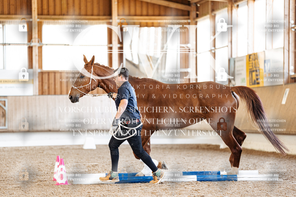 CK905811 | Turnierfotografie Pferdefotografie Trier Rheinland-Pfalz Pferdesport Reitsport Tierfotografie Sportfotografie Pferdevideo Pferdevideografie Equestrianvideography equestrianphotography  - Realisiert mit Pictrs.com