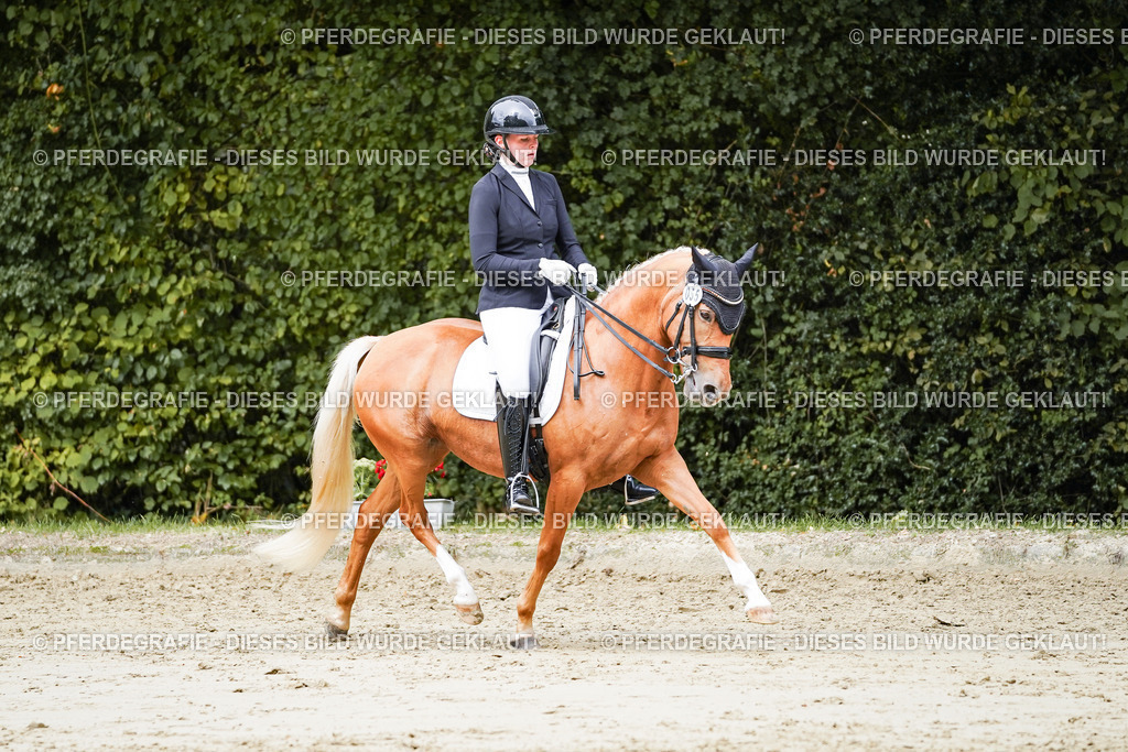 DSC04111 | Pferdegrafie