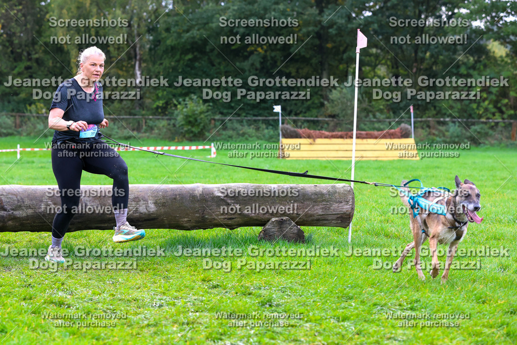 Dog Paparazzi -  SD1026-2109 | Dog Paparazzi Jeanette Grottendiek Fotografie & Videografie - Realisiert mit Pictrs.com
