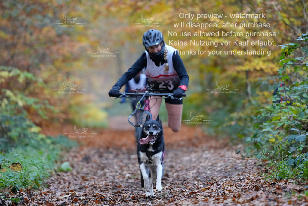 Scooter_So-72 | stephaniefillaphotographie - Realisiert mit Pictrs.com