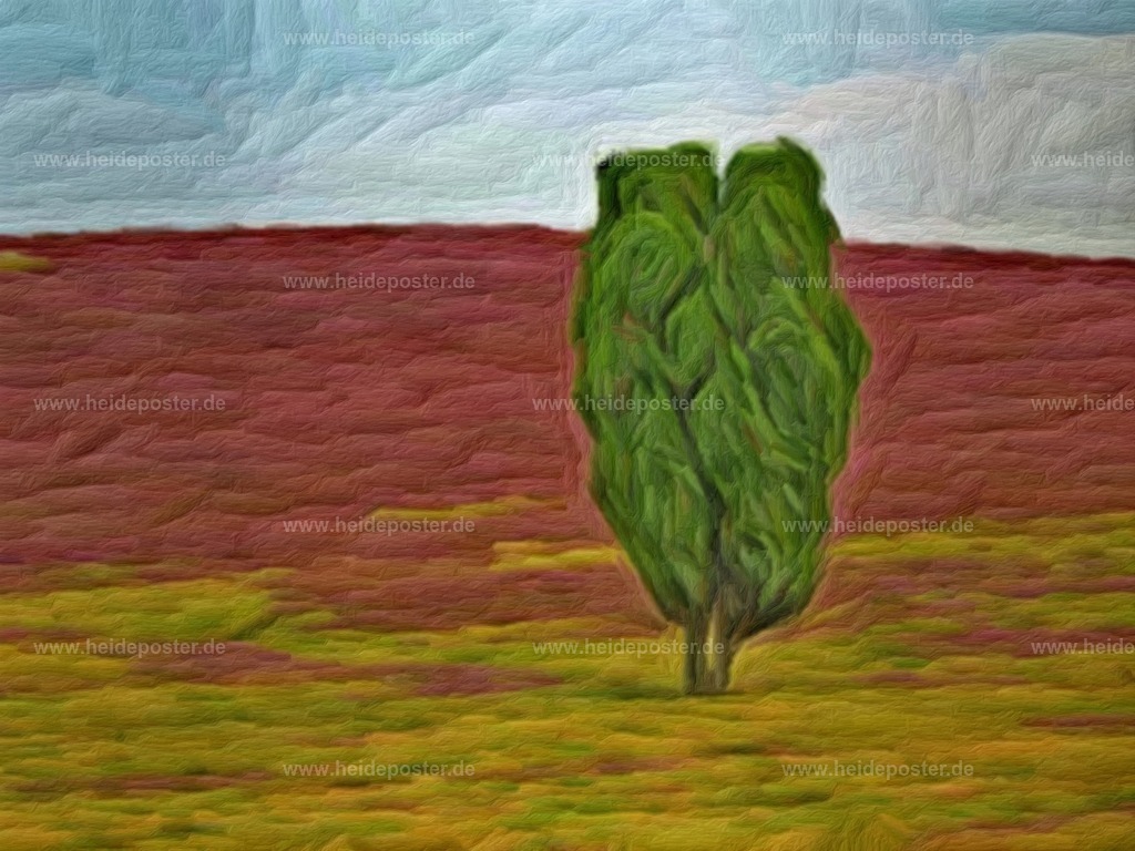 Einsamer Wacholder in Heidelandschaft | Das Bild zeigt eine gemalte Landschaft, die an die Lüneburger Heide erinnert. Im Vordergrund steht ein einzelner, aufrecht wachsender Wacholderstrauch. Der Boden ist in zwei Zonen gestaltet: ein rötlich wirkender Bereich in der mittleren Bildzone, der die blühende Heide andeutet, und ein gelblich wirkender Vordergrund. Der Himmel ist mit weichen Pinselstrichen gestaltet und wirkt leicht bewölkt. - Realisiert mit Pictrs.com