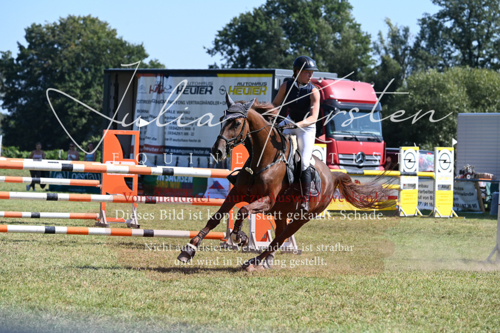 DSC_6467 | Pferde- und Turnierfotografie in Westsachsen. Pferdeportraits, Auftragszeichnungen und intuitive Kunst.