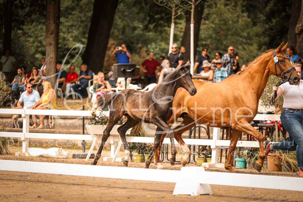 SaPA00140 | Leoni Ertmer Photography - Realisiert mit Pictrs.com