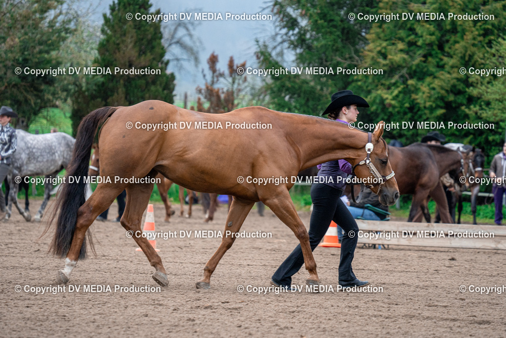 BA300040 | dv-media-shop - Realisiert mit Pictrs.com