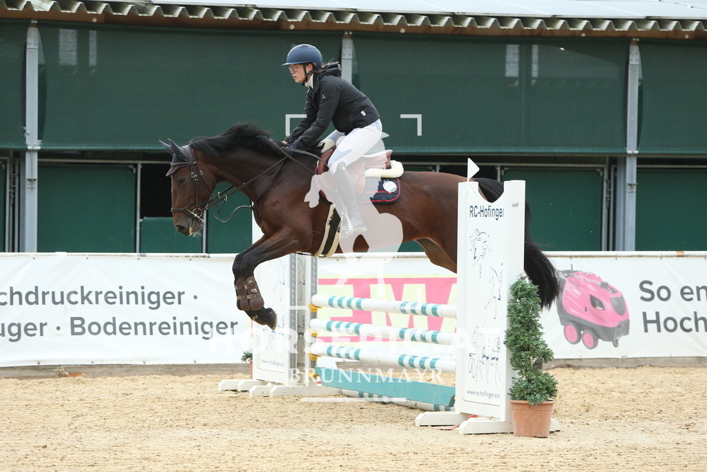 DL2Q5393 | Willkommen bei Brunnmayr - Design & Fotografie – Ihrem Spezialisten für Reitturniere und Pferdeveranstaltungen in Oberösterreich, Salzburg und Bayern! Seit über 17 Jahren sind wir leidenschaftlich dabei.