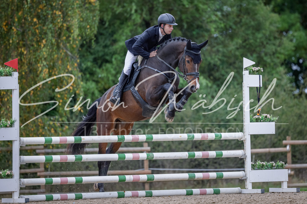 20251012-_3LI3809 | Tierfotografie Pferde, Hunde, Katzen, Haustiere.
Turnierfotografie Reitturniere, Reiten, Springreiten, Dressur in Hanau, dem Main-Kinzig-Kreis und dem Rhein-Main- Gebiet um Frankfurt