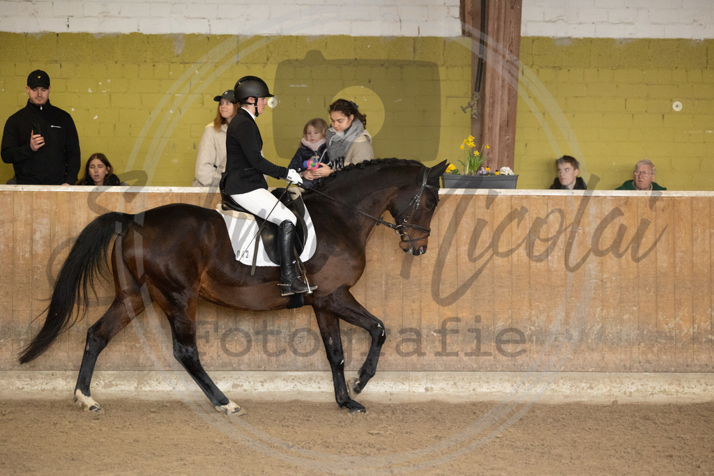 994A8947 | sabrinanicolaifotografie - Realisiert mit Pictrs.com