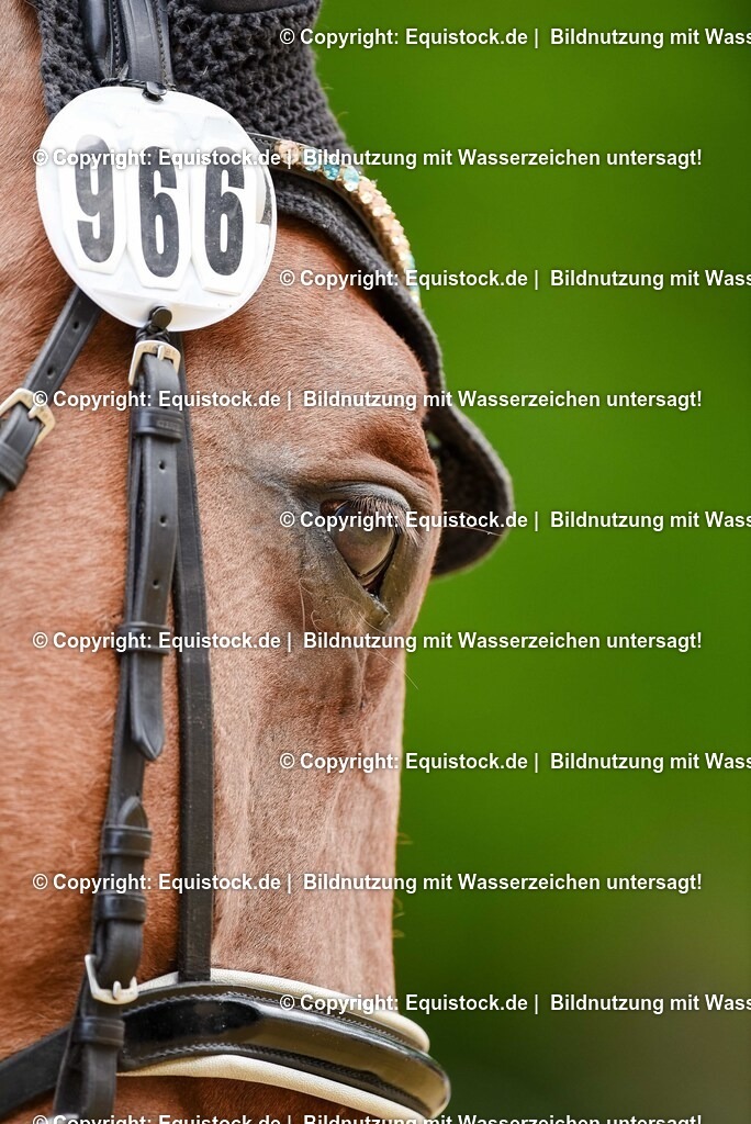 20250608_CVI-Masterclass_0559 | Foto: Thomas Hartig