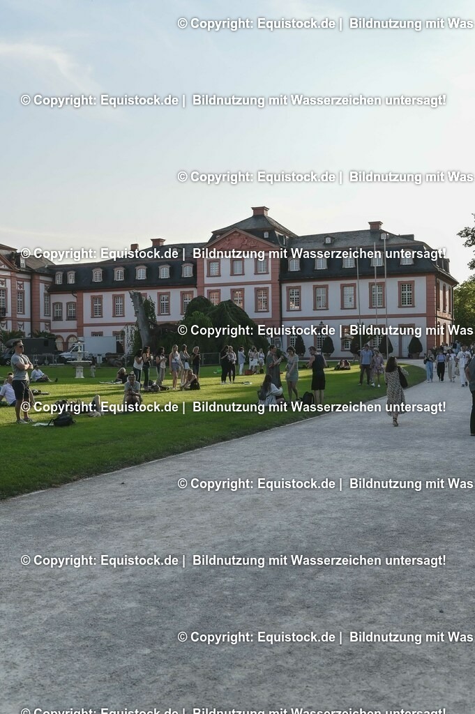 D78_3834 | equistock