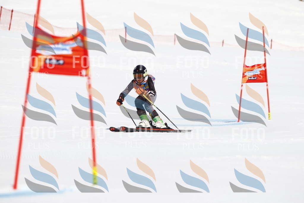 _U3G4237 | holidayphoto