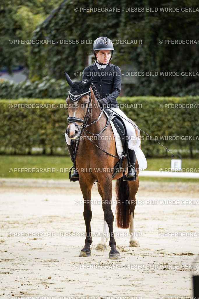 DSC04988 | Pferdegrafie