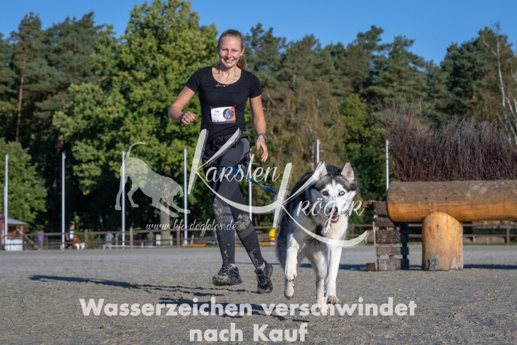 1022-_ZZ91047 | kk-dogfotos