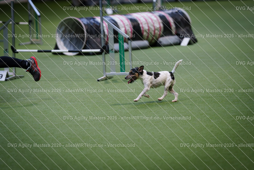 allesWIRTHgut_Tierfotografie-DVG_Agility_Masters_2026-09_05-7R508743 | Professionelle Tierfotografie in Mönchengladbach von Daniel Wirth (allesWIRTHgut). Liebevolle & natürliche Bilder von Hunden & Katzen für unvergessliche Erinnerungen.
