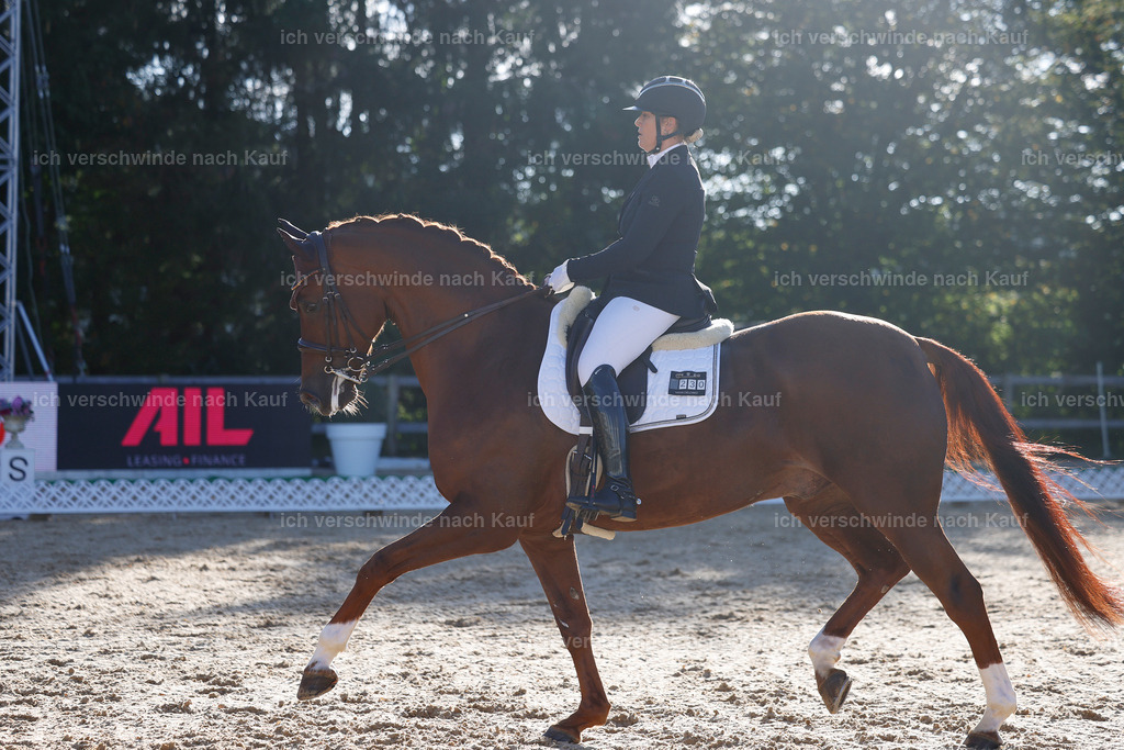 09_1-230-DRESSUR  S_  -StoibPH-5541 | working equitationturnier fotograf videograf stoibphotography marixx film working equitation deutschland reitsport turnierfotografie eventfotografie equestrian events