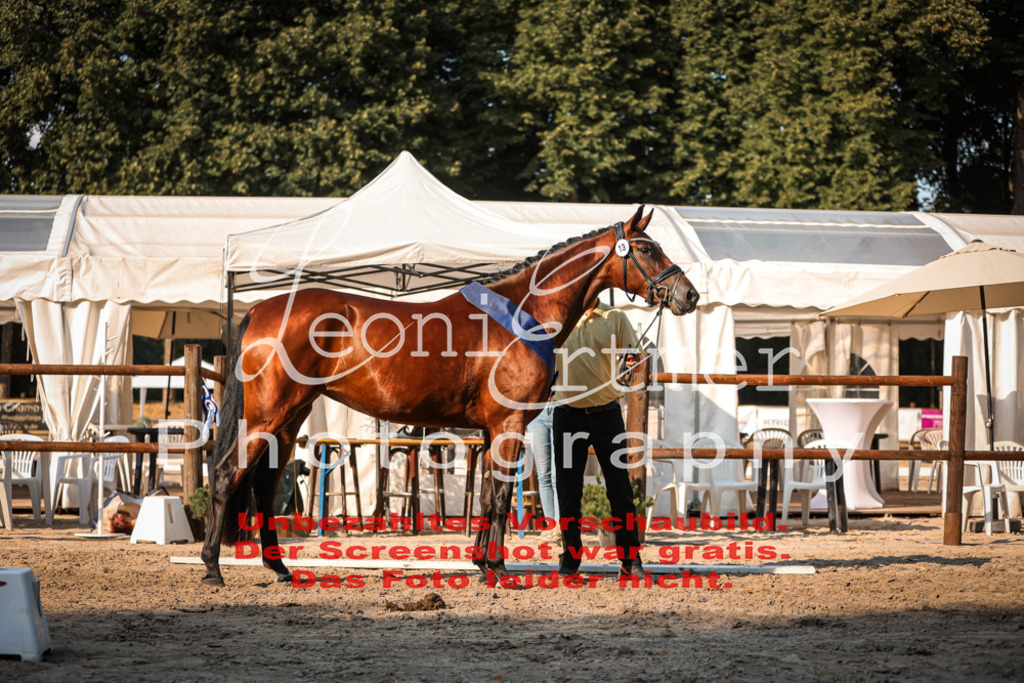 DoER00115 | Leoni Ertmer Photography - Realisiert mit Pictrs.com