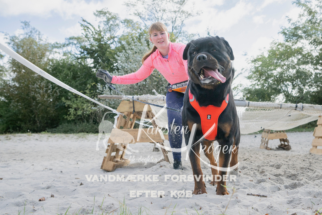 1338_ZZ98229 | kk-dogfotos