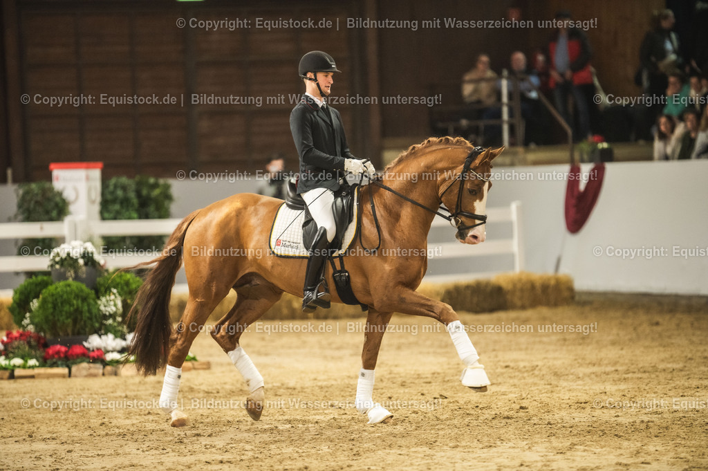 20240302_Hengstvorstellung_Marbach_TOMsPiC_0521 | equistock