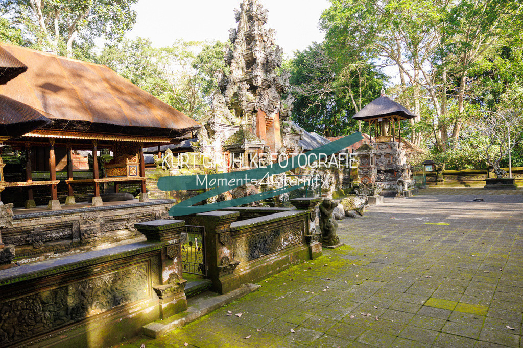 230718-0169 | onlinegalerie und Fotoshop Kurt Gruhlke Fotograf Berlin
Hochzeitsfotograf Eventfotograf Portraitfotografie
 - Realisiert mit Pictrs.com