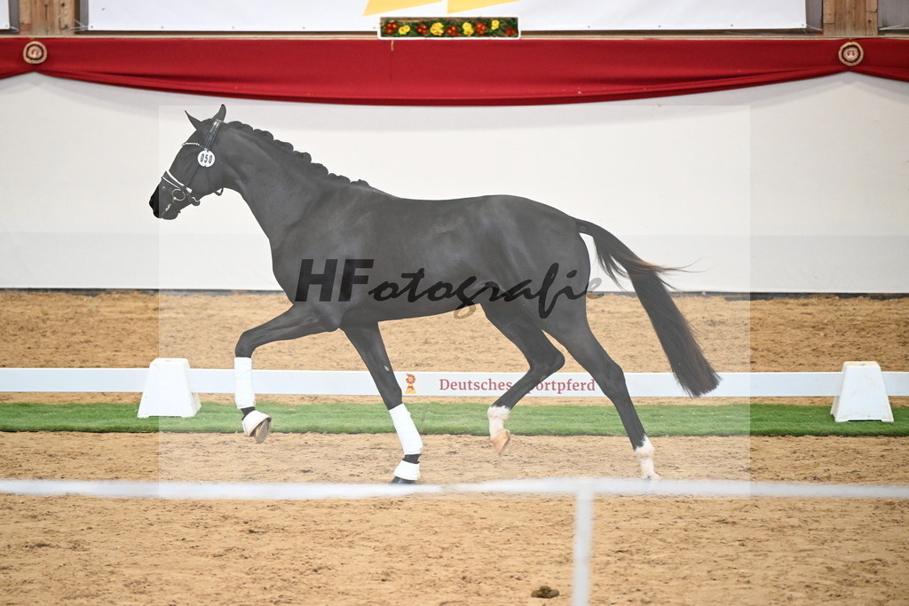 Kat.-Nr. 50 v. Donier_Meyer_2250194 | hf-fotografie - Realisiert mit Pictrs.com