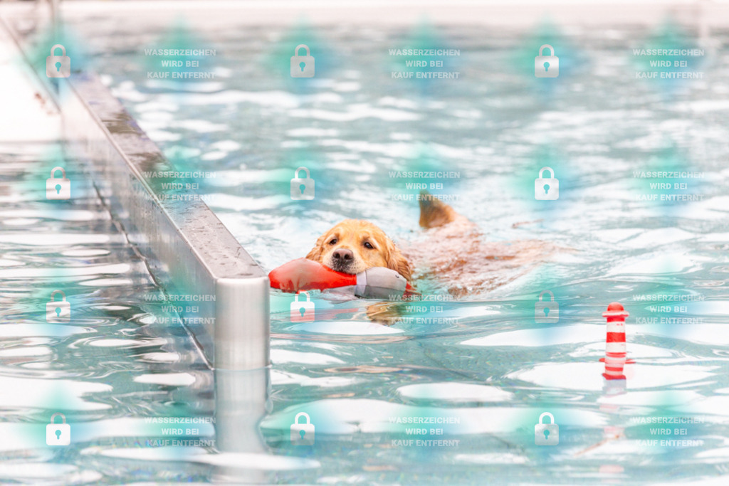 _HP_7194_1000o | HetPix, HetPix Fotodesign, Fotografie, Fotodesign, Webshop, Sportfotografie, Portraitfotografie, Onlineshop, Sportfotografie, Polch, Motorsportfotografie, Eventfotografie