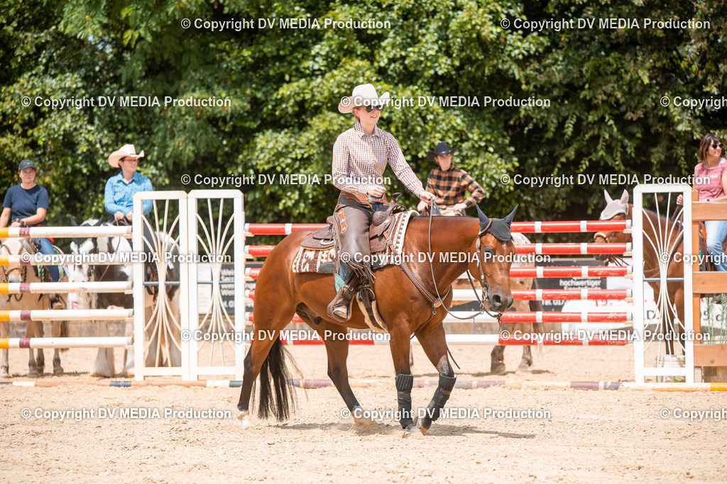 EWP_6341 | dv-media-shop - Realisiert mit Pictrs.com