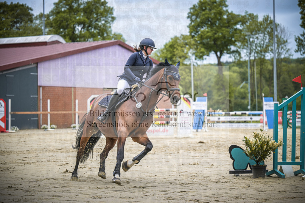 DOS_5272 | Entdecke hochwertige Reitturnierfotos von Foto Oger. Professionell, emotional und authentisch – jetzt Lieblingsmomente im Shop bestellen.Deutschlandweite Turnierfotografie. - Realized with Pictrs.com