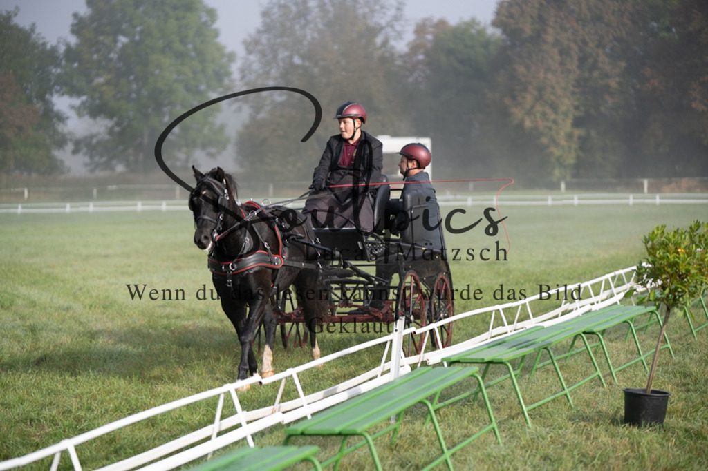 A7V04082 | Pferdefotograf